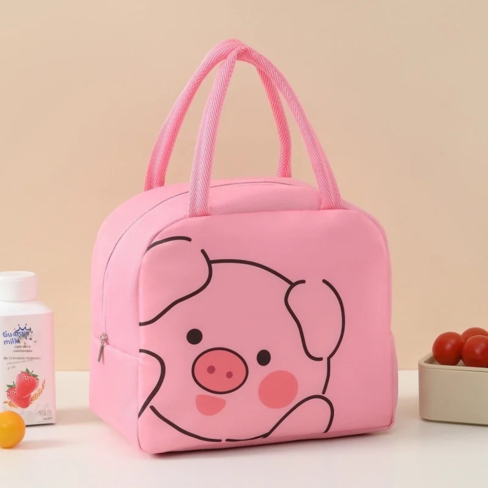 Insulated Lunch Bag